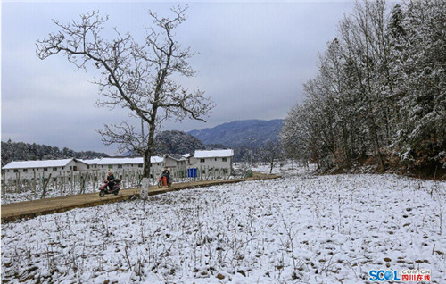 图为通江县空山乡雪景.